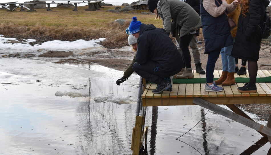 Nordplus-projektet ”From the Bottom to the Surface”. Studerende undersøger fisk. 
Foto: Upper secondary school, Lappajärvi
